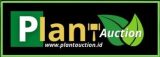 Plant Auction